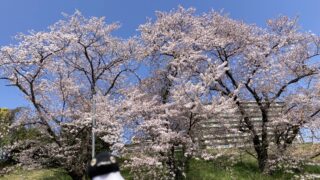 透かしブロック in 滋賀県草津市