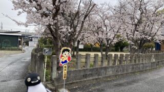 透かしブロック in 熊本県熊本市 その4