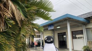 透かしブロック in 山口県周南市 その4