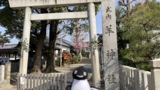 透かしブロック in 愛知県名古屋市 その４