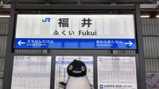 透かしブロック in 福井県福井市(東口)