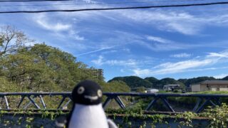 透かしブロック in 岐阜県多治見市その１